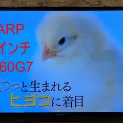 60インチ　液晶テレビ　シャープ　LC-60G7　(2023.0...