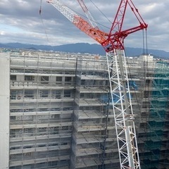 鳶職募集の画像