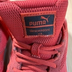 お取引中　PUMA  ランニングシューズ  24.5センチの画像