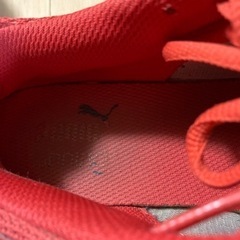 お取引中　PUMA  ランニングシューズ  24.5センチの画像