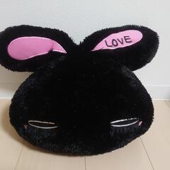 黒ウサギの画像