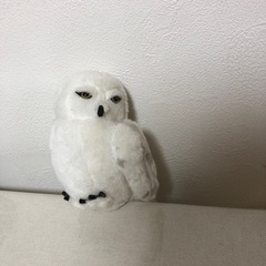 ハリーポッターのフクロウ（ヘドウィグ）のぬいぐるみ