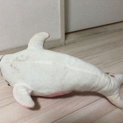 イルカのぬいぐるみの画像