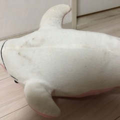イルカのぬいぐるみの画像