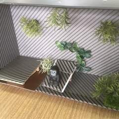 建築士と家造りワークショップしませんか😊の画像