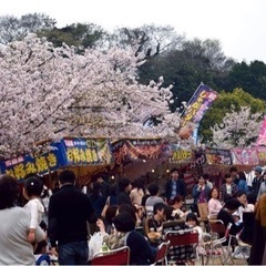 花見　屋台