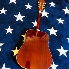 美品　Epiphone by Gibson　DR-100 WRの画像