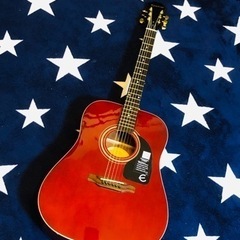 美品　Epiphone by Gibson　DR-100 WR