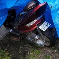 マジェスティCの画像