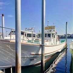 11トン　小型兼用船　遊漁船　監視船等　ヤンマー320ps エンジン好調の画像