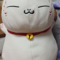 にゃんこ先生
