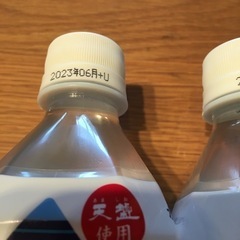 熱中対策水　レモンの画像
