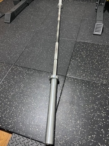 ROGUE ECHO BAR 2.0 20kg