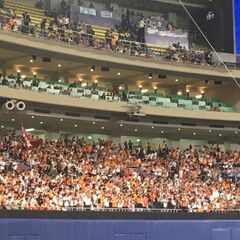 名古屋,東京ドームでの巨人ファン観戦仲間募集