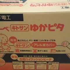 ナショナル ホットカーペット ２畳新品未使用