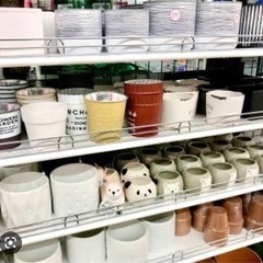 要らなくなった植木鉢、鉢、譲ってください！