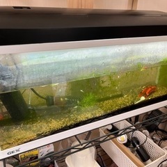 水槽　現状渡し