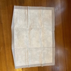 薄型ペットシーツ160枚(くらしモア)の画像