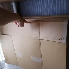 ダンボール 140cm 8枚の画像