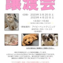 🐶わんにゃん譲渡会🐱