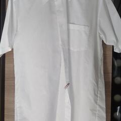 学生服 ワイシャツ 半袖