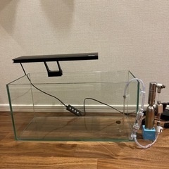 水槽セット