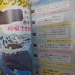 いきもの最強バラエティー ウソナンデスの画像