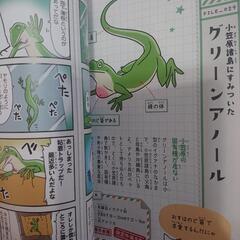 ゆるゆる外来生物図鑑の画像