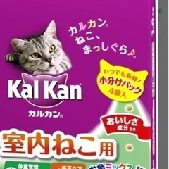 猫フード頂けませんか？