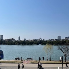 3/26(日)『お花見ウォーキング会🌸』 - 福岡市