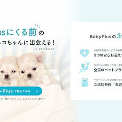 BabyPlusでは、ご予約いただいたベビーワンちゃん・ネコちゃ...