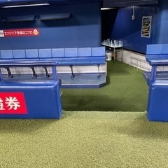 野球観戦お願いします！中日ドラゴンズ