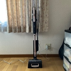 コードレス掃除機　決まりました
