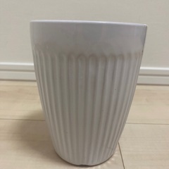 植木鉢　観葉植物　花瓶の画像