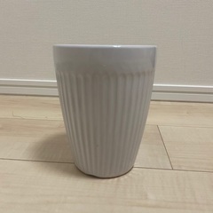 植木鉢　観葉植物　花瓶の画像