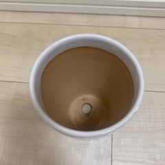植木鉢　観葉植物　花瓶の画像