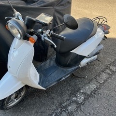 原付ホンダトゥデイ20日まで売ります！