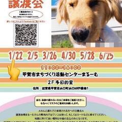 ３月２６日 保護犬　保護猫　譲渡会