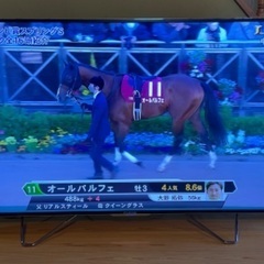 HDD内蔵 65型4K液晶テレビ FUNAI FL-65UA6000 2017年製