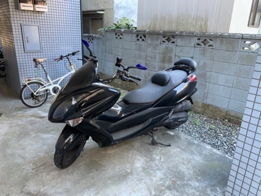 自賠責付きマジェスティ250