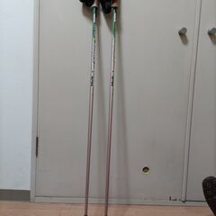 excelノルディックウォーキング用ポール（中古）