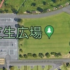 win_winマケット