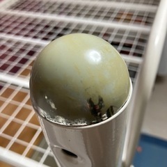 （決まりました）の画像