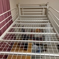 （決まりました）の画像