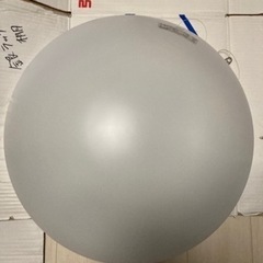 シーリングライト（決まりました）