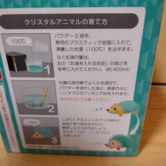 おもちゃ 子供の画像