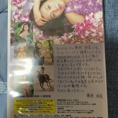 若かりし頃の華原朋美の画像