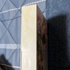 若かりし頃の華原朋美の画像