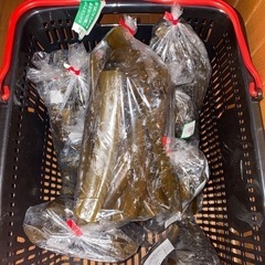 加古川産　　生茎わかめ