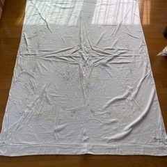 タオルケット  東京西川 水色 花柄の画像